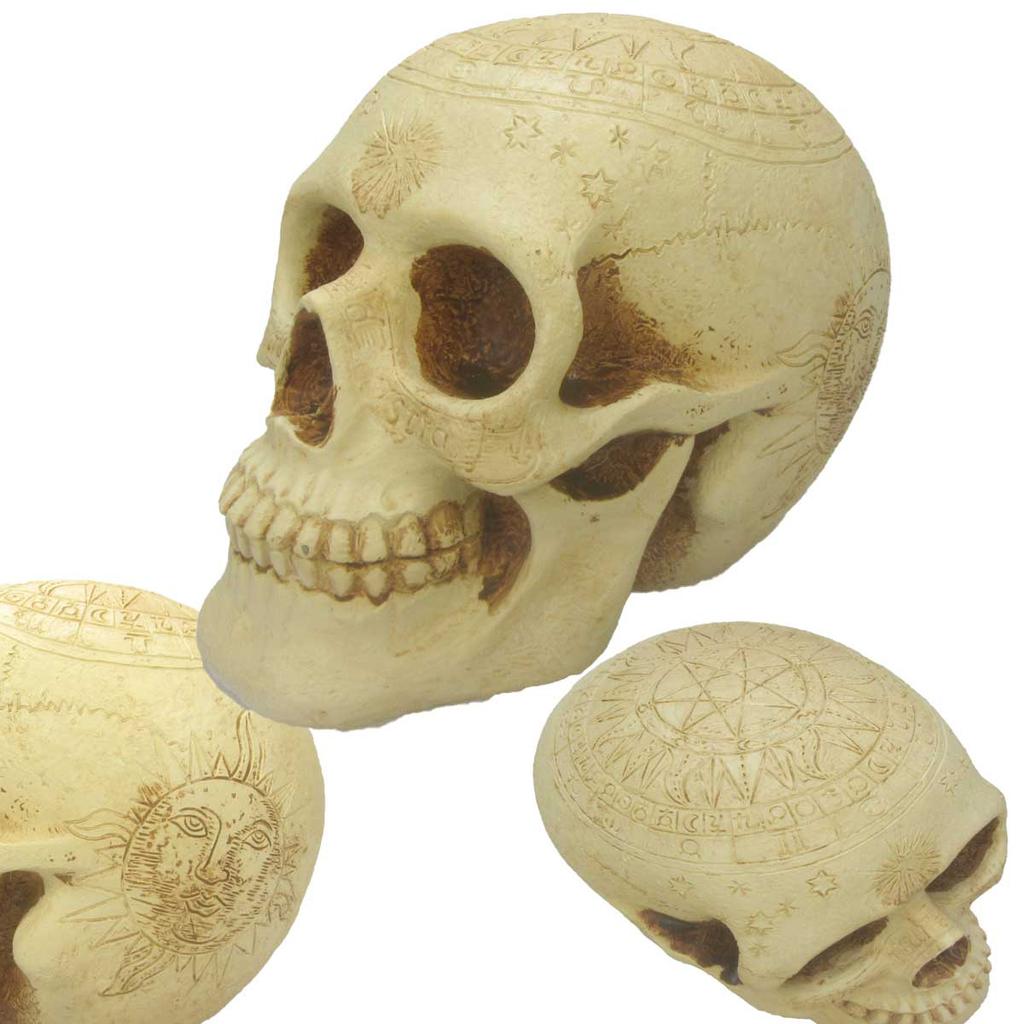 Les Trésors De Lily [A3296] - Beige 'Skull' Resin Figurine (astrology) - 16 Cm