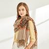 5-цветный шарф-шаль из искусственного кашемира для женщин, осень-зима 2024 года, новый стиль, простая сетка, универсальный, толстый, теплый
