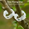 50 шт., высокопрочный, прочный и долговечный посадочный сарай, держатель для ветвей, зажим для виноградной лозы, зажим для обрезки