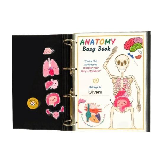 Анатомия человека Занятия Книга Дошкольный Детский Сад Части Тела Обучающие Занятия Книга Интерактивная Образовательная Секреты Тела Раскрытие Книги