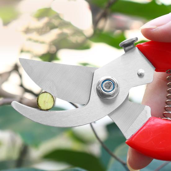 Садовые ножницы с нескользящей ручкой для сбора фруктов из нержавеющей стали, цветок, бонсай, ветка, секатор, садовый инструмент, садовые принадлежности