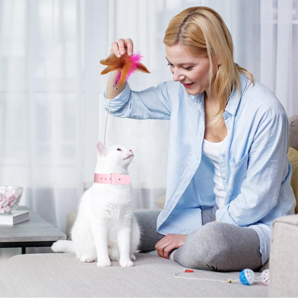 Silicone Cat Collar with Feather Toy and Bell for Interactive Kitten Training