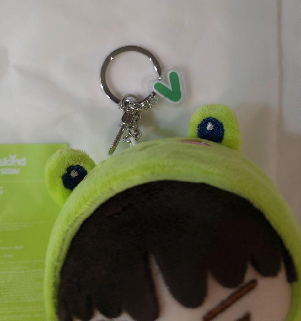 [USED] BTS FESTA 2025 Face Keyring V Taehyung Plush Toy