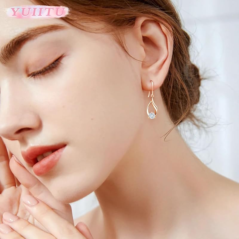 YUIITU Earrings Ladies Popularity Shine Zirconia Hook Sway Silver Earrings Compatible with Metal Allergies Simple Woman Flower Present Anniversary