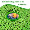 10 Pcs Aquarium Floating Plant Rings Lightweight Keep Food Plants In Place EVA Foam Floating Ring for Fish Tank