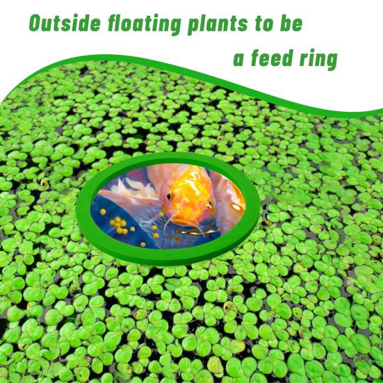 10 Pcs Aquarium Floating Plant Rings Lightweight Keep Food Plants In Place EVA Foam Floating Ring for Fish Tank