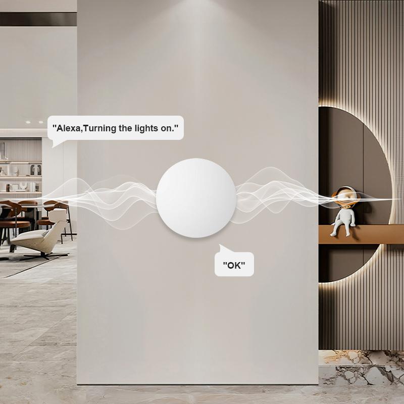 Умные беспроводные кнопочные выключатели Tuya Zigbee Smart Life Интеллектуальное управление сценами Поддержка голосового управления Google Home Alexa