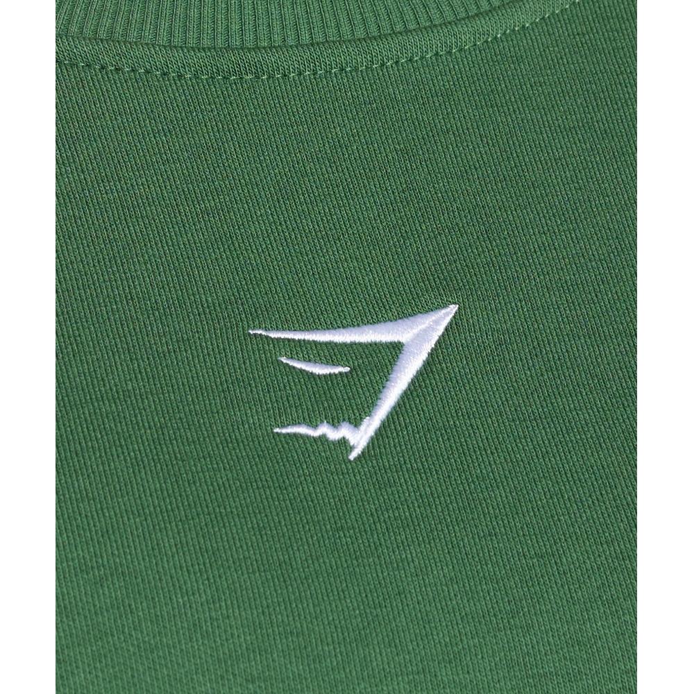 Gymshark Тренировочный флисовый свитшот оверсайз Классический зеленый B5a9r Ec20