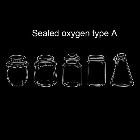 Transparent Dried Flower Bookmarks Handmade Clear Floral Bookmark Wishing Bottle Stickers Without