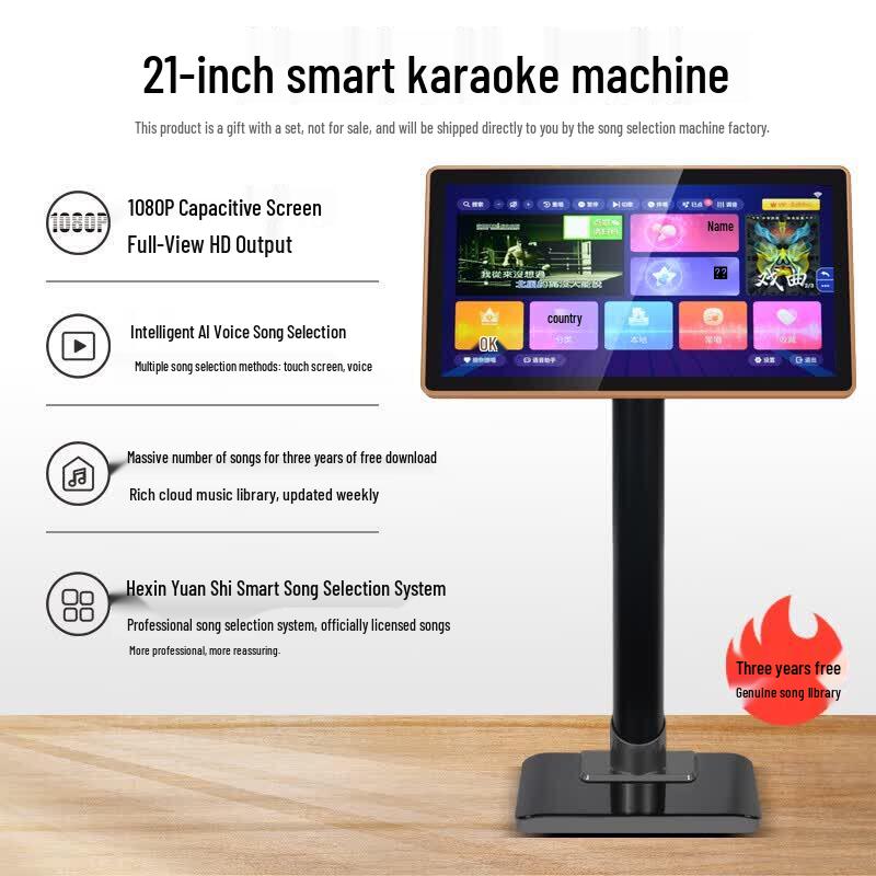 HiVi DS12 12-inch 2.1 Channel Home KTV Audio System (CN version)