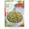 Kale Fresh Vegetable Seeds PREMIUM for Sprouts 10g