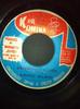 7-дюймовая пластинка ERNEST WILSON HAROLD BUTLER THE Experience Lover Lovers Joy 5A57 Dr. Komina 1978 Ямайка Регги Ска Даб Б/у