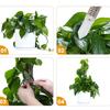 4Pcs Moss Poles 17.7inch Moss Poles Monstera Plant Support Plastic Moss Poles for Plant Monstera Self Watering Stackable