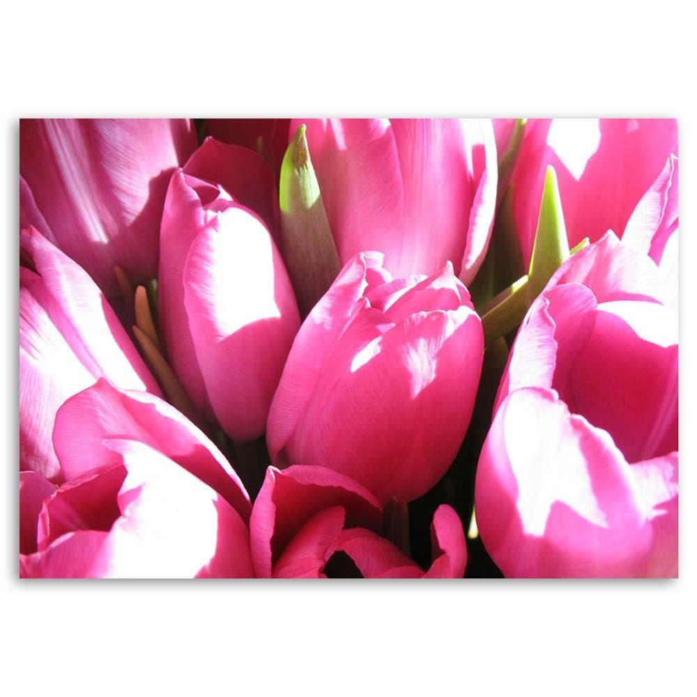 Canvas print, Bouquet of pink tulips