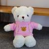 Очаровательная плюшевая игрушка Мишка Тедди - Кукла-мягкая игрушка для подарка на день рождения детям