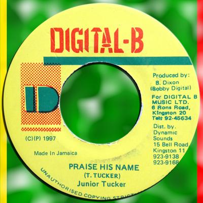 7-дюймовая пластинка JUNIOR TUCKER - Praise His Name NONE Digital-B 1997 Ямайка Регги, Ска и Даб Б/У