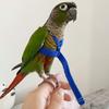 Portable Adjustable Bird Supplies Bird Leash Traction Strap Pet Training Rope Parrot Harness