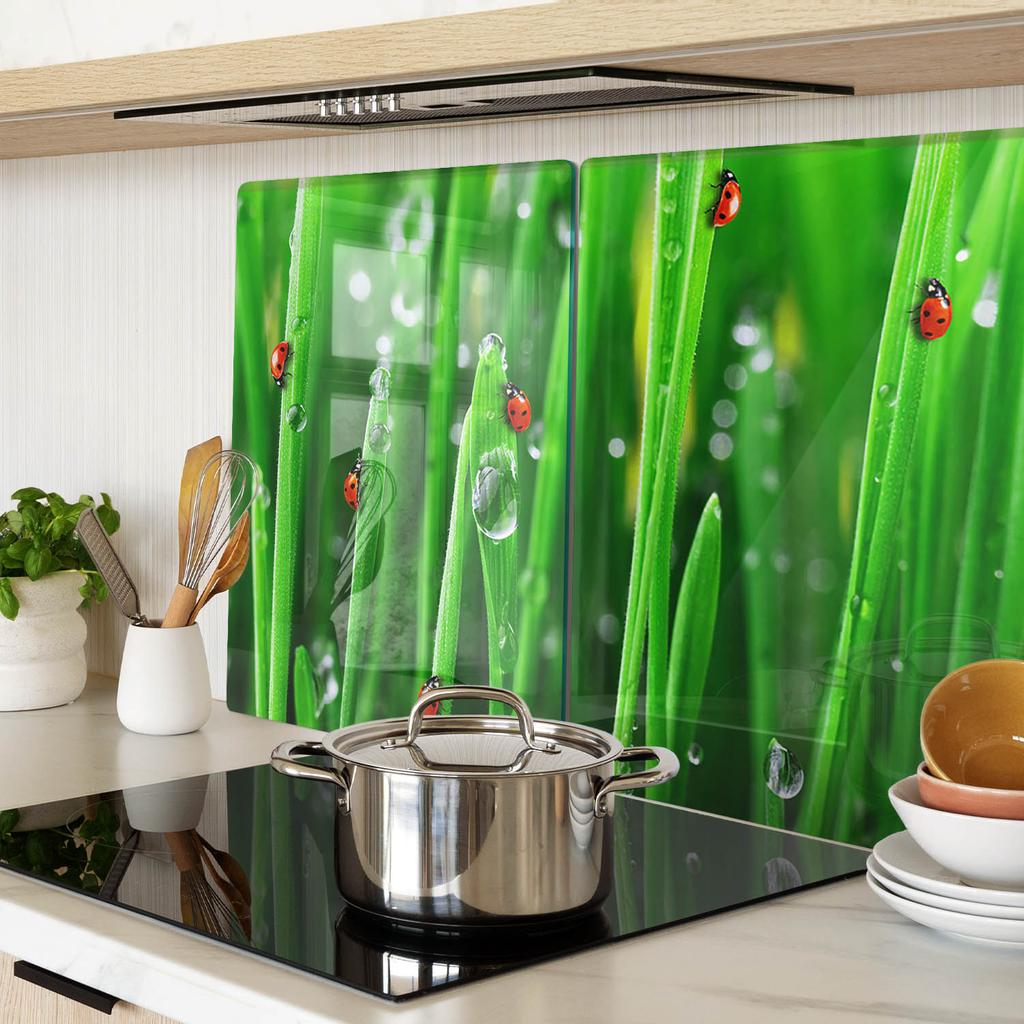 Glass Kitchen Cutting Boards with Ladybug in Grass Graphic 2x40x52 cm