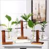 Wooden  Frame Glass Hydroponic  Vase Home  Bonsai Flower Plant Flower  Pot Tabletop  Decor