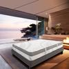 Mattress - Relaxation - 160 X 200 Cm - Firm - Pocket Springs - Anti-dust Mite