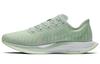 Nike Zoom Pegasus Turbo 2 Women's AT8242-301