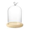Clear Glass Display Cloche Dome with Bird Handle Wooden Base, Immortal Flower Glass Cover Large Size Office Home Decoration