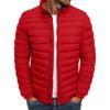 Men's Autumn and Winter Large Size Short Solid-coloured Down Jacket Slim Warm Stand-up Collar Sports and Leisure Outerwear