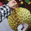Comfortable Simulation Durian Hat Soft Cartoon Plush Hat Durian Headgear  Cross-dressing Shows