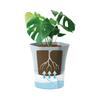Transparent Plastic Self Watering Plant Pots Lazy Hydroponic Water Absorbing Flower Pot For Succulent Plant Flowerpot Garden