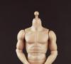 COOMODEL COO Male Body Action Body for Figure [TOYBARJAPAN] B34003(BD003) 1/6