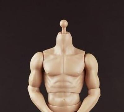 COOMODEL COO Мужское тело Действие Тело для Фигурки [TOYBARJAPAN] B34003(БД003) 1/6