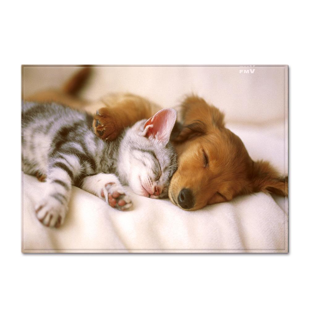 Животное Большой Ковер Перо Ветер Спальня Напольный Коврик