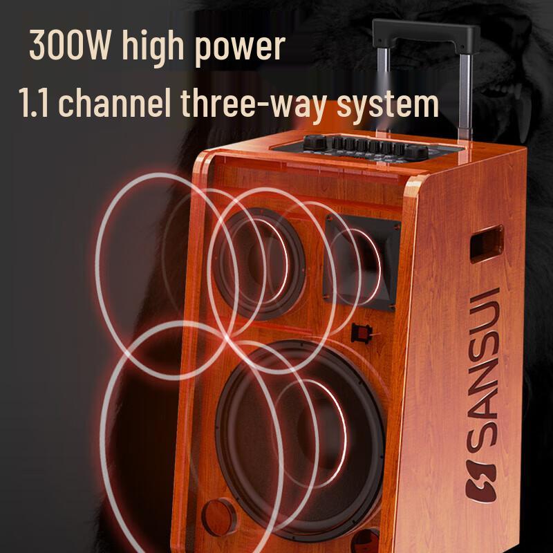 SANSUI G12 High-Power Outdoor KTV Trolley Bluetooth Speaker