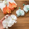 Zinc Zinc Alloy Butterfly Orchid Earrings Simulated Flower Flower Earrings Flower Drop Earrings  Wedding