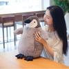 Soft Toy Children Gift Animal Toy Penguin Plush Doll Penguin Plush Toys Stuffed Toy Penguin Doll