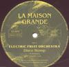 12-дюймовая пластинка ELECTRIC FRUIT ORCHESTRA - Disco Stomp MAISON9501 La Maison Grand 1995 Германия Танцевальная и Электронная Музыка Б/У