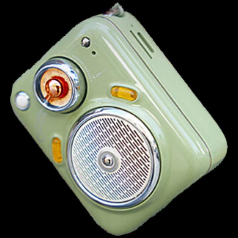 Divoom Beetle-FM Mini Portable Bluetooth Speaker CN plug (adapter included) (CN version)