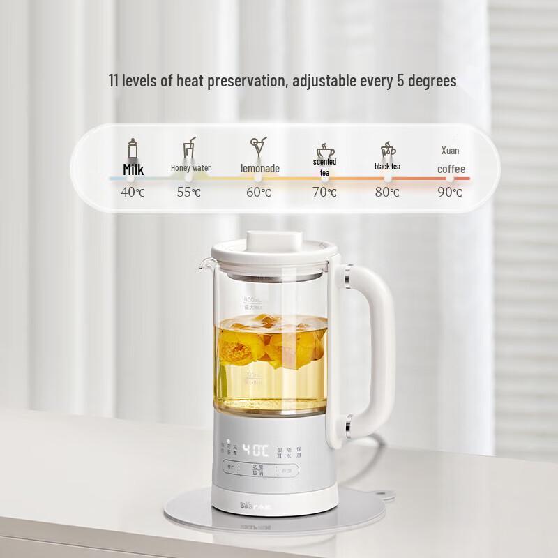 Bear 0.6L Mini Health Pot & Tea Maker