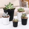Белые и черные горшки для суккулентов – Круглые, короткие и прочные – Матовые пластиковые кашпо для садоводства