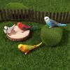Simulation Parakeet Miniature Landscape Ornament Artificial Bird Model Props