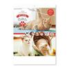 New Japan Calendar 2026 Wall Calendar with Mikan and with Chronology NK33 "Life Cats Jiro's House"