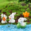 Micro Landscape Cute Cartoon Mini Carrot Rabbit Horticultural Resin Ornaments Bonsai Animal Decoration