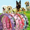 Colorful Cat Dog Collar Leather Pet Neck Strap Comfortable Pet Spiked Studded Collars  Cats
