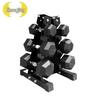 Zhongjing Hex Dumbbell Set with Storage Rack