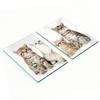 Multifunctional Decorative Glass Boards with Printed Small Cats 2x40x52 Cm