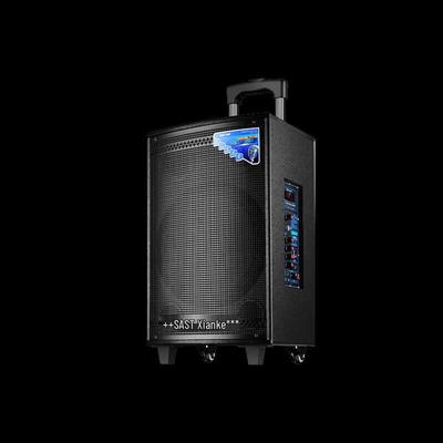 SAST Портативная Bluetooth-колонка для караоке с микрофоном, для улицы, штепсель CN (адаптер в комплекте)