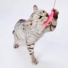 Petio Cat Toy Kitten Foldable Fish Cat Ball