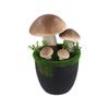 1PC Potted Faux Garden Decor Simulation Moss Flower Pot Mushroom Artificial Mushroom Bonsai Plant