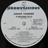 12-дюймовая пластинка JUNIOR VASQUEZ - If Madonna Calls GM011 Groovilicious 1996 US Dance & Electronica Б/У
