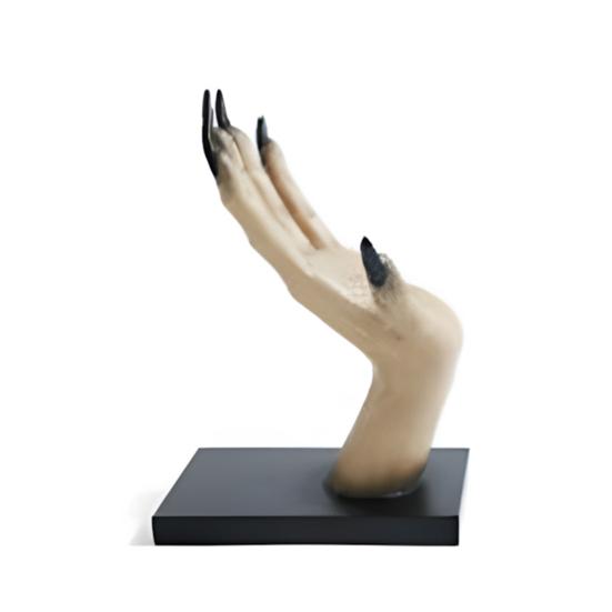 Подставки для книг на Хэллоуин, ведьма, рука, подставка для книг, готический декор для дома, полки, настольные страшные руки ведьмы, держащие подставку для книг, декор для комнаты на Хэллоуин